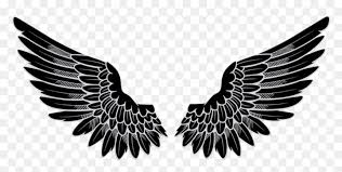 O letter wings logo design with black bird fly wing icon stock. Angel Wings Logo Png Transparent Png Vhv