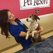 Pet Boarding Tomball Tx Pet Boarding Near Me Tomball Pet Resort