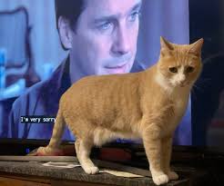 Cookies with cream filling are Twinkie's favorite