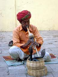 The word bin has always been somewhat problematic. Snake Charming Wikipedia