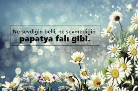 Parkta salıncak sırası bekleyen çocuk gibi bekledim seni. Fal Ile Ilgili Sozler Fal Sozleri Pek Guzel Sozler