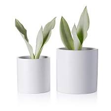 Greenaholics Plant Pots 5 9 4 7 Inch Matt Ceramic Planter With Drainage Hole For Flower Cactus Suc Ceramic Flower Pots Ceramic Planters Indoor Plant Pots