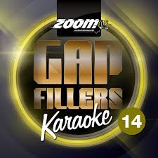Zoom Karaoke Zoom Karaoke Gap Fillers Volume 14