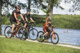 Ktm E Bikes 2020 Ebike De