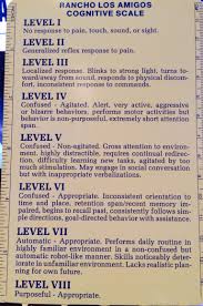 ranchos los amigos cognitive scale levels 1 8 occupational