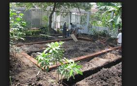 Bikin kolam koi sederhana lengkap dengan chamber filter yang memadai bukanlah hal yang sulit, berikut adalah salah satu contoh kolam ikan koi yang bisa anda bikin dirumah. Cara Terlengkap Membuat Kolam Ikan