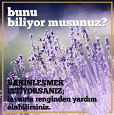 Asaleti, zenginliği, lüks ve ihtişamı ifade eden bir renktir. Arastirmalara Gore Mor Rengi Ozellikle De Lavanta Cicegi Rengi Kisilerin Sakinlesmesinde Onemli Bir Rol Oynuyor Sakinle Psikoloji Biliyor Muydunuz Psikiyatri