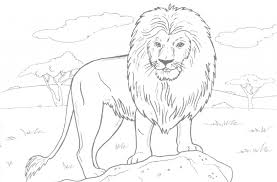 Our alphabet colouring pages are a great way to familiarise children with the alphabet. Free Printable Lion Coloring Pages For Kids Lion Coloring Pages Coloring Pictures Of Animals Pencil Drawings Of Animals