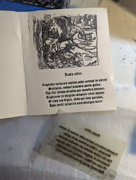 General 4 — Dovanna Cleary