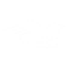 The current status of the logo is obsolete, which means the above logo design and the artwork you are about to download is the intellectual property of the copyright and/or trademark holder and is offered. Centenarium Benfica Logo Png Transparent Svg Vector Freebie Supply