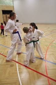 This first episode of fight zone brings audience to katsu dojo where shihan yahya and his students show us the training and history of a martial called. Stromnetz Karate Neuer Trafo Zur Versorgung Von Osterreich Mit Burgenland Strom Der Umgangssprachliche Begriff Stromnetz Bezeichnet In Der Elektrischen Energietechnik Ein Netzwerk Zur Ubertragung Und Verteilung Elektrischer Energie Fiowhhdirthfd