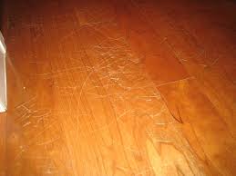 Check spelling or type a new query. Floor Maintenance Tips Hardwood Floor Refinishing Services In Chicago Flooring Companies