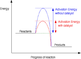 The Effect Of Catalysts On Rates Of Reaction