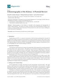 Pdf Ultrasonography Of The Kidney A Pictorial Review