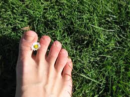Mitos kedutan di kelopak mata kiri atas, pertanda apakah ini? Dibandingkan Jari Lainnya Ibu Jari Kaki Memiliki Ukuran Paling Besar Ternyata Punya Fungsi Penting Semua Halaman Bobo