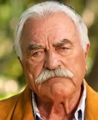 I heard people don't watch ""Blue Bloods"" anymore.. do I still have fans  🌺💥 #donniewahlberg #bridgetmoynahan #willestes #vanessaray #lencariou  #Bluebloods #SaveBlueBloods #tomselleck