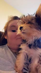 I didn't know until now that there is such a thing called a parti yorkie.  My baby girl Aspen is very small at 4 months, only weights maybe 3 pounds,  and is