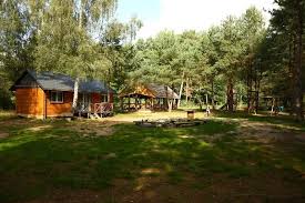 Poniżej znajdziecie sprawdzone i polecane przez rodziców domki w borach tucholskich. Bory Tucholskie Domki Dzieciochatki Pl