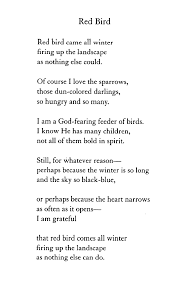 Mary Oliver Red Bird Mary Oliver Poems Poems Beautiful Mary Oliver Quotes