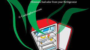 After disposing of the bad food that caused the smell, thoroughly wipe the insides of the fridge and freezer with a sponge or washcloth doused in undiluted tomato juice. Quick Tip 9 Eliminate Bad Odor From Your Refrigerator How To Get Rid Of Bad Odors From Fridge Youtube