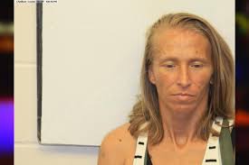 Jerri Lewis-Hannah — Chatham County Jail Bookings