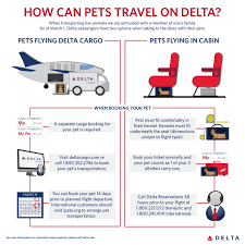 Jetblue complete pet travel information. Flying With Pets New Rules Could Affect Your Non Human Travel Companions Travel Channel
