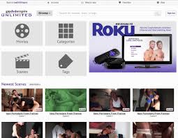 Gay DVD Empire free videos of www.gaydvdempire.com - Mr Gay