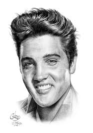 E L V I S Wall Mural