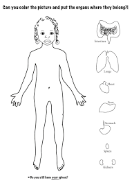 17 coloring pages of human body. Human Body Coloring Pages Super Coloring Pages Coloring Pages Drawing For Kids