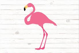 Download Pink Flamingo Graphic By Rayan Creative Fabrica PSD Mockup Templates