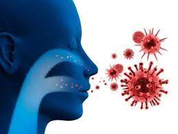 Human respiratory syncytial virus (sq); Virus Sincitial Respiratorio Vircell