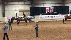 This is their first world championship title and stacy is ecstatic. For Sale A Lopinlazy Sensation Youtube