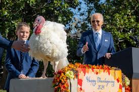 Peach and Blossom came a long way to...