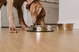 Overview of the freshpet brand. Best Freeze Dried Dog Food Complete Guide And Reviews 2021 Canine Hq