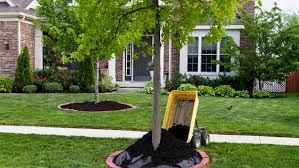 Take as much as you need. How To Make Mulch Diy Leaf Grass Wood Mulch Angi Angie S List