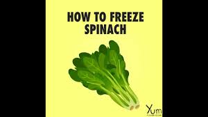 Why not do it yourself and freeze spinach from a fresh batch this summer? How To Freeze Spinach Youtube
