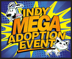 Animal care services protects and promotes the health, safety, and welfare of pets and livestock in marion county. Indy Mega Adoption Event Home Facebook