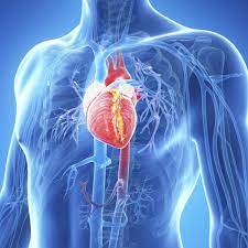 In europa ist davon auszugehen, dass es sich bei der ursache einer myokarditis in weit mehr als der der hälfte. Herzmuskelentzundung Ursachen Fur Myokarditis Bunte De