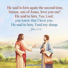 Peter was hurt because jesus asked him the third time, do you love me? he said, lord, you know all things; John 21 16 Why Did Jesus Ask Peter Do You Love Me