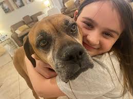 This is my beautiful boy Nathan. My funny clever witty happy boy. I miss  him terribly. I looked at pictures of u today buddy, u always had a cheeky  wee smile. It's