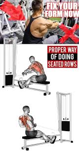 Seated Rows Form Back Exercises Exercise Fitness Body