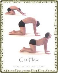 Pin On Back Pain