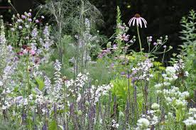 Bettina Jaugstetter Buro Fur Garten Und Landschaftsarchitektur Gartendesign Ideen Pflanzengestaltung