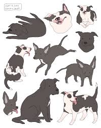 Commission For Lost In My Labyrinth Dog Art Cute Animal Drawings Animal Drawings