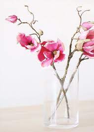 We did not find results for: Silk Magnolia Branch In Two Tone Pink 19 Tall Artificial Flowers Magnolia Branch Fake Flowers