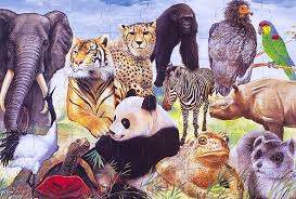 A Collage Of Endangered Species In Puzzle Form Animal Pictures For Kids Endangered Wildlife Endangered Animals ✓ free for commercial use ✓ high quality images. endangered species in puzzle form