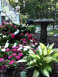 Hostas And Impatiens Front Yard Landscaping Patio Garden Diy Garden