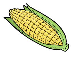 corn illustration illustration corn corn drawing elote vegetable cartoon pinterest