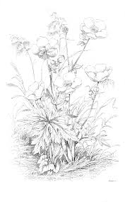 Black And White Printable Images Of Flowers Vintage Printable Bees Honey Graphicsfairy Bees Removed Black White Bee Printables Flower Line Drawings Free Printable Art