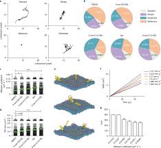 Pseudomonas Aeruginosa Quorum Sensing Metabolite Induces Host Immune Cell Death Through Cell Surface Lipid Domain Dissolution Nature Microbiology
